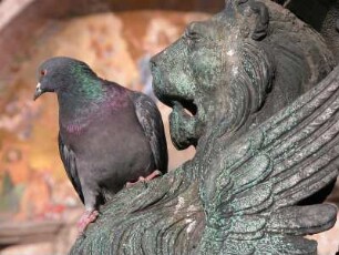Löwe und Taube : Ein bronzener Löwe vom Fahnenmast vor dem Markusdom mit einer Taube vor dem Maul, aufgenommen im Februar 2005. Foto: Uwe Gerig