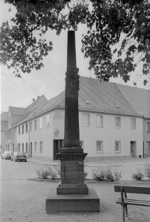 Belgern