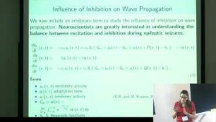 On the study of traveling wave solutions on a cortical wave propagation model including inhibition