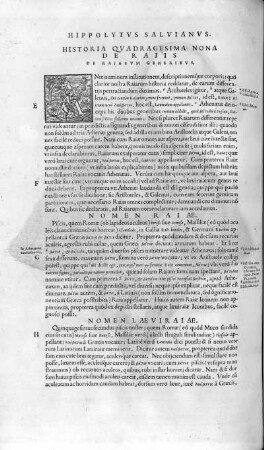 Historia Quadragesima Nona. De Raiis