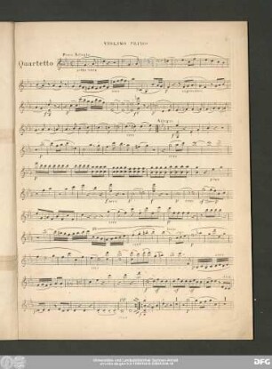 Violino Primo
