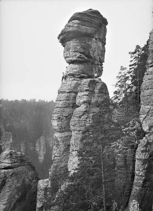 Sächsische Schweiz, Rathener Gebiet. Wehlnadel, nordwestlich von Rathen. Seilschaft B. Henning in der Querung des Alten Weges