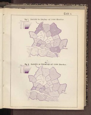 Tafel 4. Fig. 2. Sterbefälle an Schwindsucht auf 10000 Einwohner.