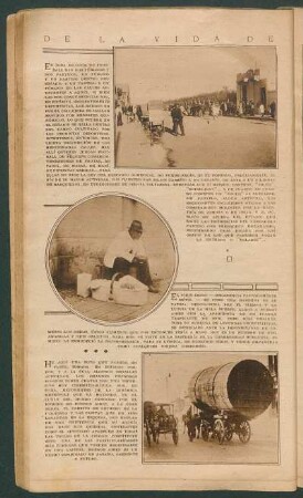 De la vida de la metrópoli