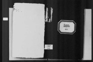 Durlach, evangelische Gemeinde: Standesbuch 1851