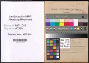 Entnazifizierung Wilhelm Nettesheim , geb. 18.09.1898 (Arzt)