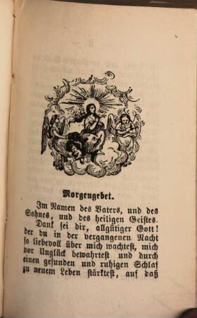 Alles für Jesus den Erlöser : Gebet und Andachtsbuch für katholische Christen