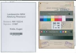 Entnazifizierung Eugen Krebs , geb. 20.01.1906 (Vertreter)