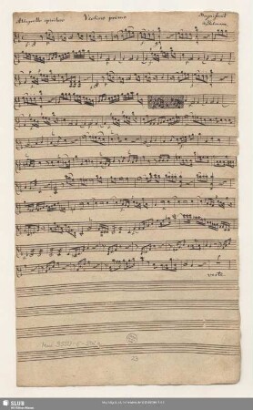 Violino primo