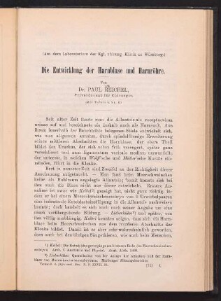 Die Entwicklung der Harnblase und Harnröhre