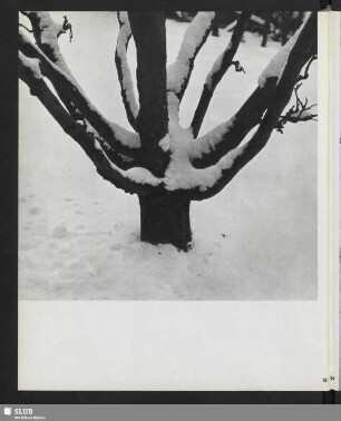 Im Winter gesehen