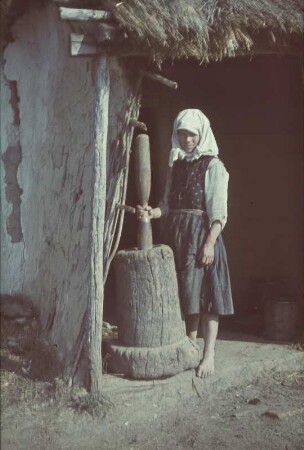 Zweiter Weltkrieg. Sowjetunion. Zur Einquartierung (wahrscheinlich in der Ukraine). Junges Mädchen am Butterfaß