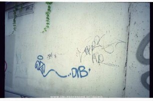 WIZe DVB
