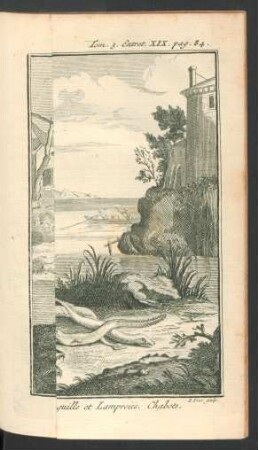 Tafel: La Pêche à la Saine, à la truble, et au Verveux. [...]