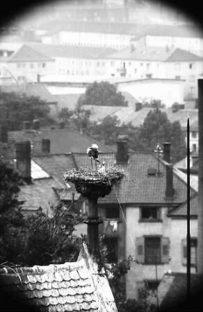 Freiburg: Blick vom Turm der Universität auf ein Storchennest auf der Universitätsbibliothek