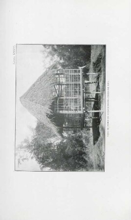Lámina XXXVI. Casa de indios en construcción - techo de Nipa