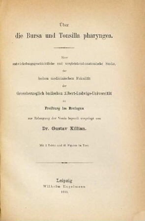 Über die Bursa und Tonsilla pharyngea. Eine entwicklungsgeschichtliche u. vergleichend-anatomische Studie