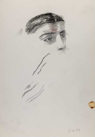 Ohne Titel (Stirn, Augen, Nase, Haar)