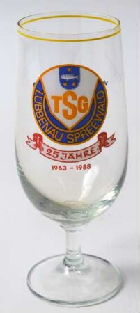 25 Jahre TSG LÜBBENAU SPREEWALD