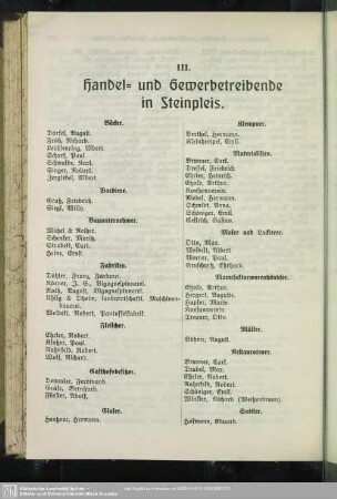III. Berufsklassen und Gewerbebetriebe : III. Handel- und Gewerbetreibende in Steinpleis