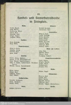 III. Berufsklassen und Gewerbebetriebe : III. Handel- und Gewerbetreibende in Steinpleis