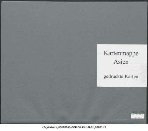Malayische Halbinsel und Straits : 1856-1882 : Kartensammlung