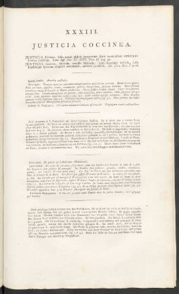 XXXIII. Justicia Coccinea