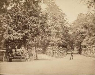 Park am Kasuga-Taisha Schrein