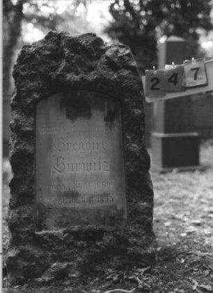 Grabstein 247 [Hahn S. 83 Grab-Nr. 894]