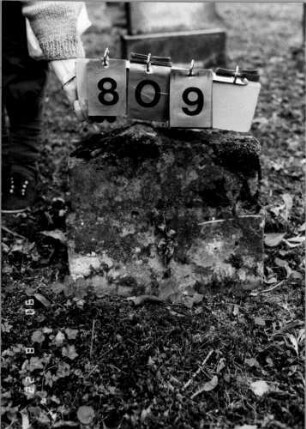Grabstein 809