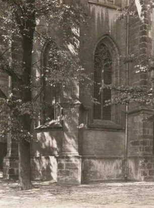 Oschatz. Stadtkirche St. Ägidien, Maßwerk der Taufkapellenfenster