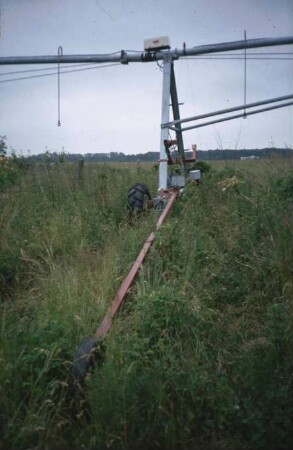 Fotografie: Gartenbautechnik-Freiland, Beregnungsanlage, Bewässerung, Frostschutz
