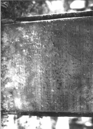 Grabstein 301 (Index: 99609938) Material: Sandstein Zustand: stark verwittert, teilweise Textverlust Maße HxBxT: 115x60x8 cm Beschreibung: Stele, Konvexbogenabschluß, Schriftfeld erhaben: Grabstein 301B