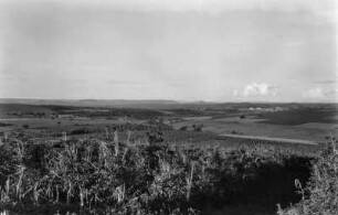 Ribeirão Preto : Blick von der Fazenda Recreo auf Ribeirão Preto.