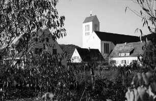 Freiburg i. Br.: Dreifaltigkeitskirche (Durchblick durch Sträucher)