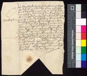 Adam Berka von Duba auf Böhmisch Leipa (Leippen) und Bürgstein (Birckstein) bestätigt Bürgermeister und Rat der Stadt Bautzen den Empfang der königlichen Jahrrente, die zu Georgi 1596 zu entrichten war.