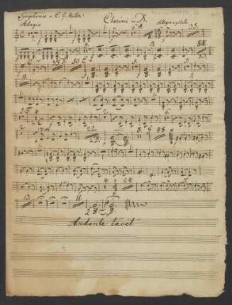 Clarini in D