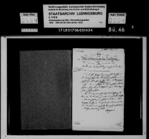 Fahndung nach Teilnehmern an revolutionären Umtrieben (Einzelfälle in den Oberämtern)
