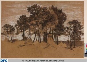 Studie einer Baumgruppe
