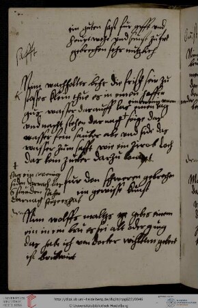 Elisabeth von Pfalz-Lautern, Medizinische Rezeptsammlung