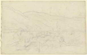 Landschaft im Kinzigtal