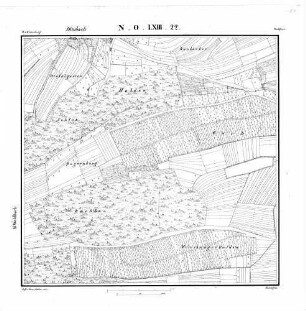 Kartenblatt NO LXIII 22 Stand 1834