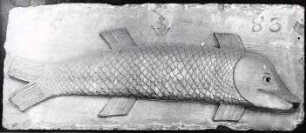 Steinrelief mit Fisch vom ehemaligen Schloss Sickingen