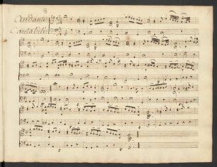 Sonaten; vl, b; G-Dur; CapT 528/14