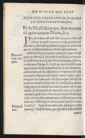 Evangelii Enarratio In Dominica post festum Trinitatis Decima sexto.