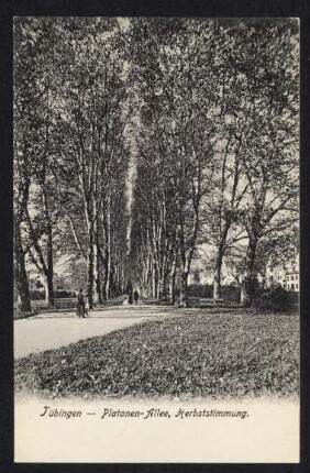 20, Tübingen - Platanen-Allee, Herbststimmung.