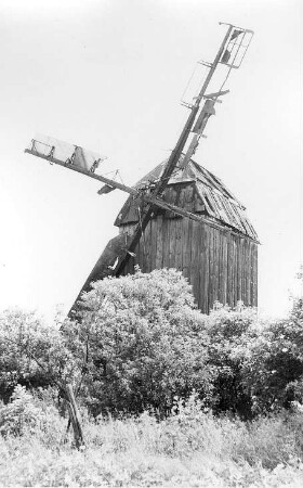 Niedere Börde-Meseberg. Bockmühle