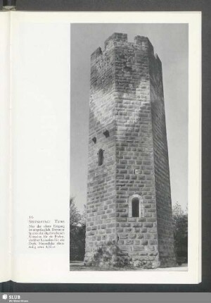 Steinsberg, Turm