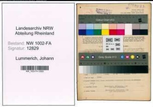 Entnazifizierung Johann Lummerich, geb. 07.05.1908 (Kraftfahrer)