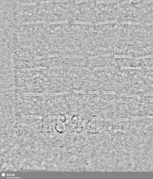 S.11/12